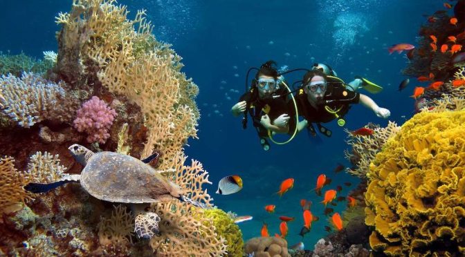 Pesona Taman Bawah Laut Bunaken Yang Menakjubkan